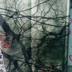 Brand new shower curtain